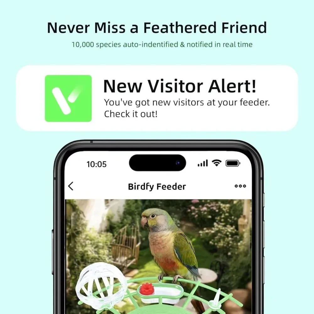 Smart Bird Feeder with Camera 2K, AI Bird Identification, Solar Powered WiFi